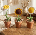 Crochet Flower Pots by Sasa Squared