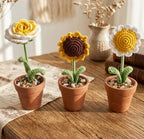 Crochet Flower Pots by Sasa Squared