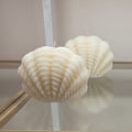 Seashell Candles by Crème Brulee