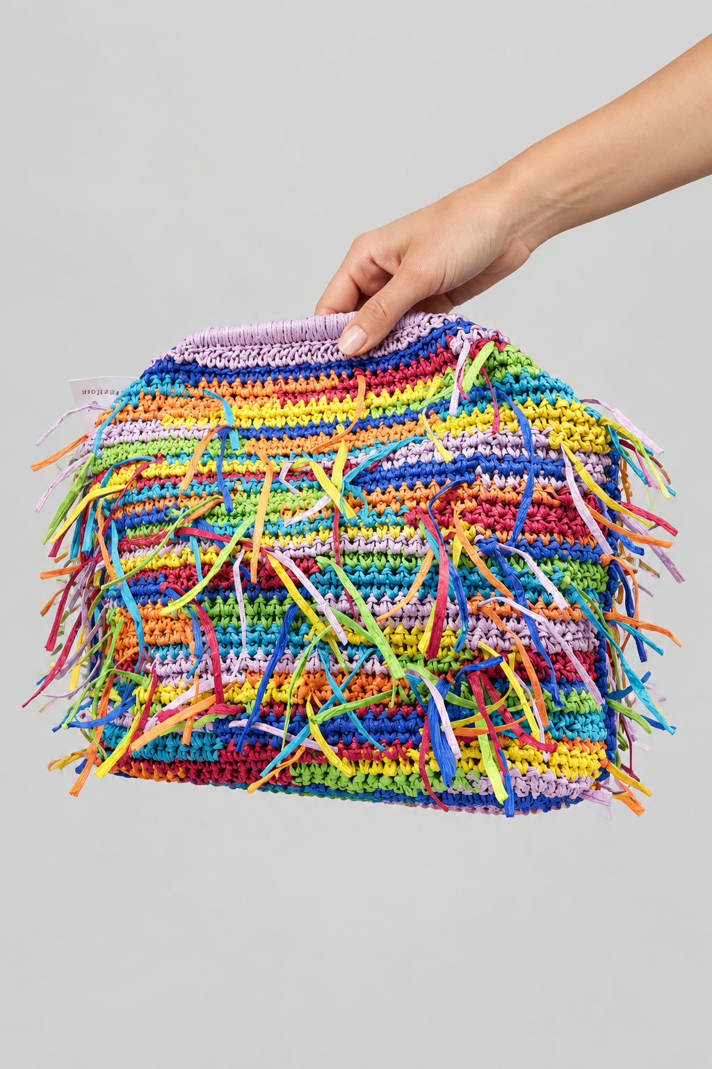 Multicolor Handwoven Fringe Bag