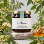 Beebloss Organic Lebanese Eucalyptus Honey – Handmade in Lebanon